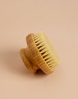 Round dry body brush